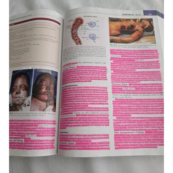 Elsevier Medical-Surgical Nursing, Med-Surg, Lewis 10th Edition Vol 1 & 2 - Picture 15 of 16
